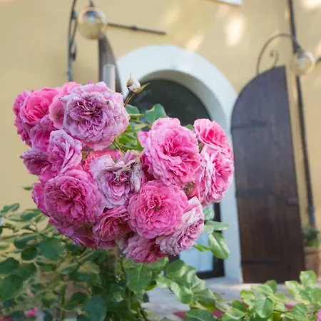 Casa Dei Lecci Appartement